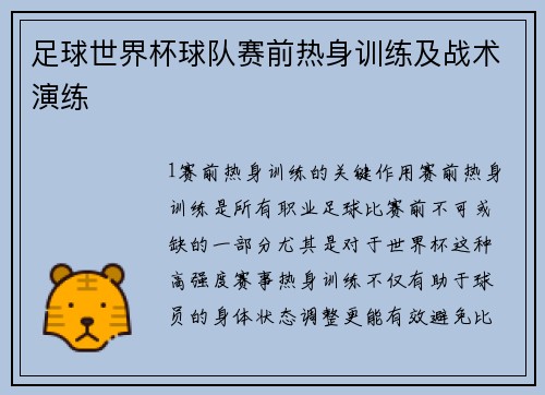 足球世界杯球队赛前热身训练及战术演练
